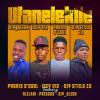 Ufanelekile (feat. Hlelani, Press69 & Djy_Slesh) - Single - Prokid D'Soul, Icey 012 & Djy Stiilo ZA