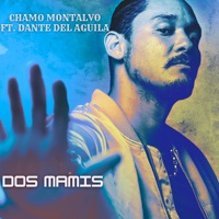Dos Mamis (feat. Dante Del Aguila) - Single - Chamo Montalvo