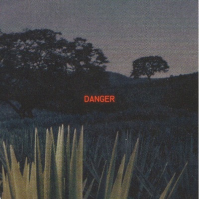 DANGER - Single