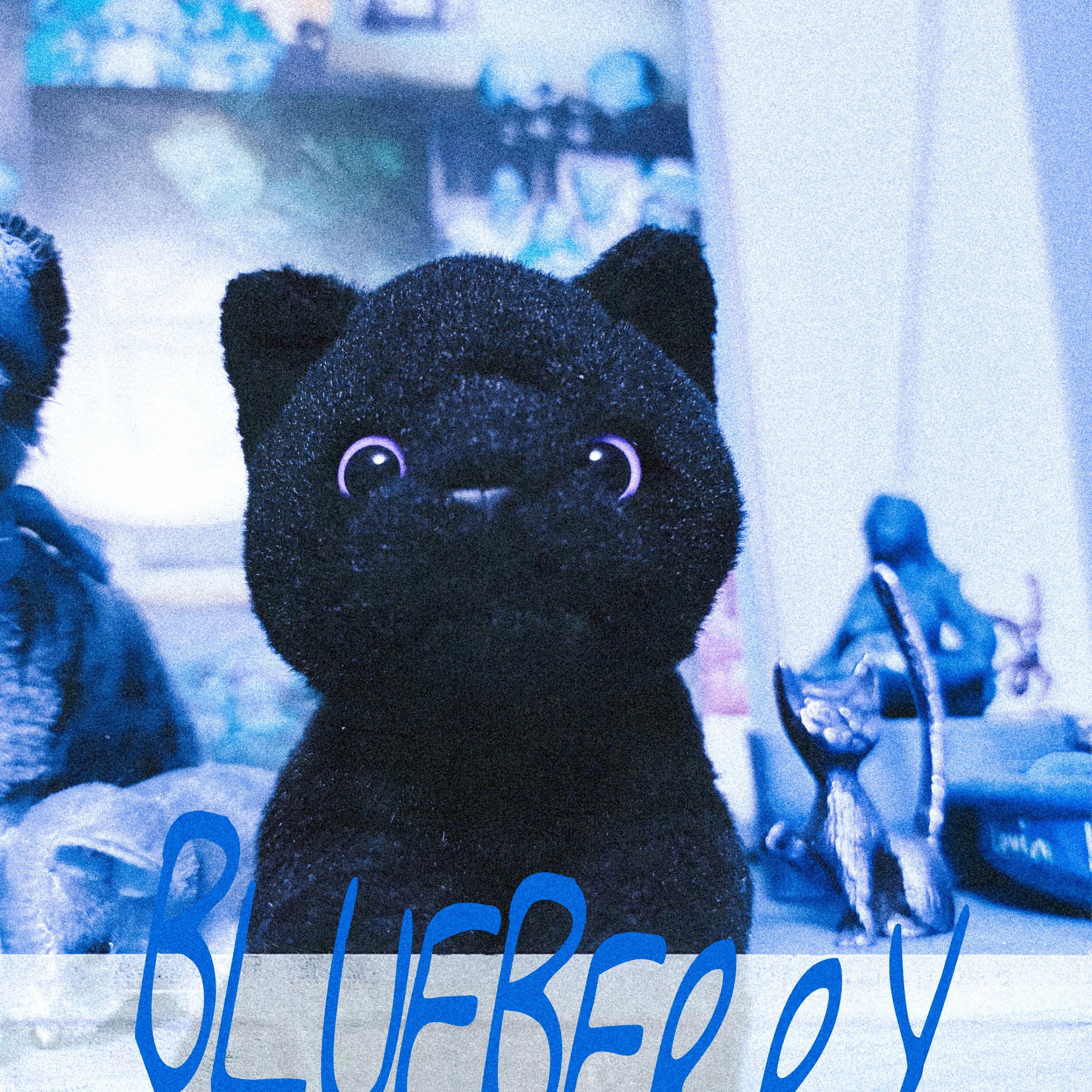 Blueberry - EP