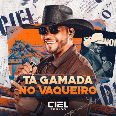 Tá Gamada no Vaqueiro - Single