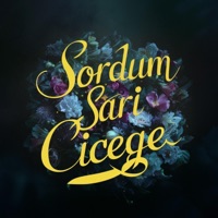 Sordum Sarı Çiçeğe - Single - Geeflow