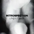 INTROSPECTION
