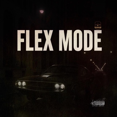 Flex Mode - Single