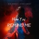 How You Remind Me Single