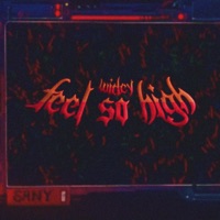 Feel So High - Single - WIDEY