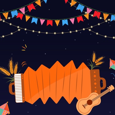 VINICIUS BESSA DJ - MUSICA CLASSICA FESTA JUNINA