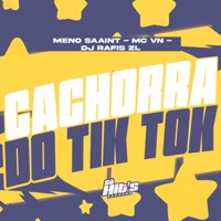 Cachorra do Tik - Single - DJ RAFIS ZL, MC VN & Meno Saaint
