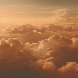 Forwards (Spa) starry