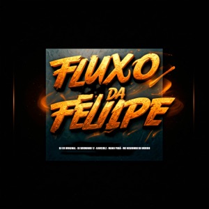 Fluxo da Felipe (feat. Kauejdlz, DJ BRUNINHO 17, Mano Pará & Mc Neguinho do Morro)