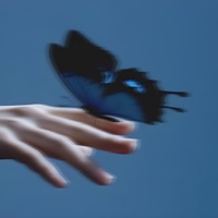 Butterflies in the Stomach - Single - Mxnsxt & Lxst Wxrld