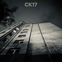 Передарил - Single - СК17