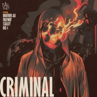 Criminal (feat. Brother Ali, Freeway, Stalley & Dee-1) - Single - TAL THE1