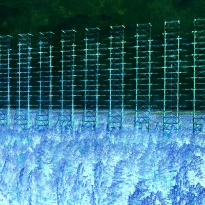 Resurrected Fields