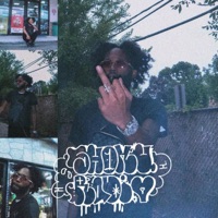 Hotline (feat. Dee Aura) - Single - SHOKU RADIO