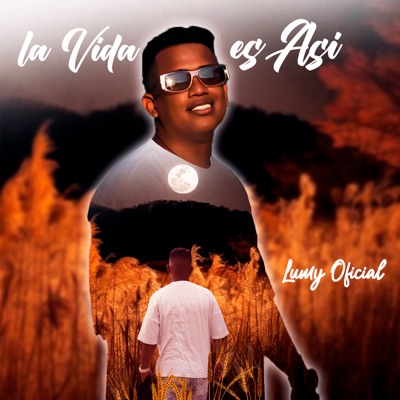La Vida Es Así - Single