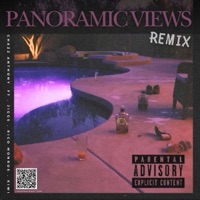 Panoramic Views Remix (feat. Jiggs, Rico Monroe & Kiwi) [Remix Version] - Single - Chazz Anthony