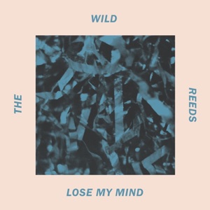 Lose My Mind - Single