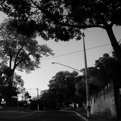 gió đưa mưa về ngang phố, em có hay chưa? - Single