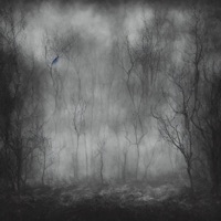 Left4dead - Single - xcross