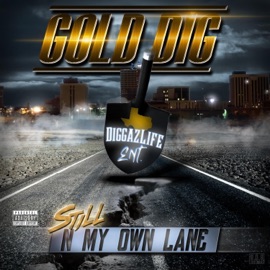 Perfect For Me (feat. Mista Roe) Gold Dig