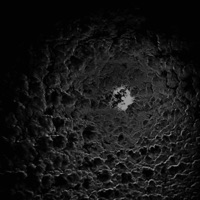 Devil Tryna Flirt (feat. backw666s & Predayed) - Single - alucify