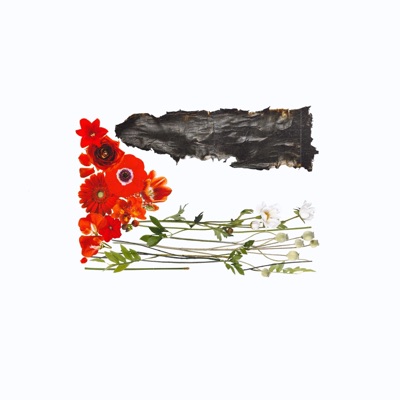 Palestine (feat. Usiku) - Single