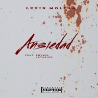 ANSIEDAD (feat. rhym3l & jota rios) - Single - Levin Molina
