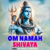 Om Namah Shivaya - Single