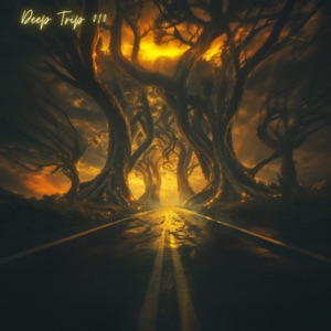 DeepTrip010 (DJ Mix)