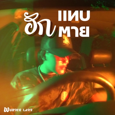 ฮักแทบตาย - Single