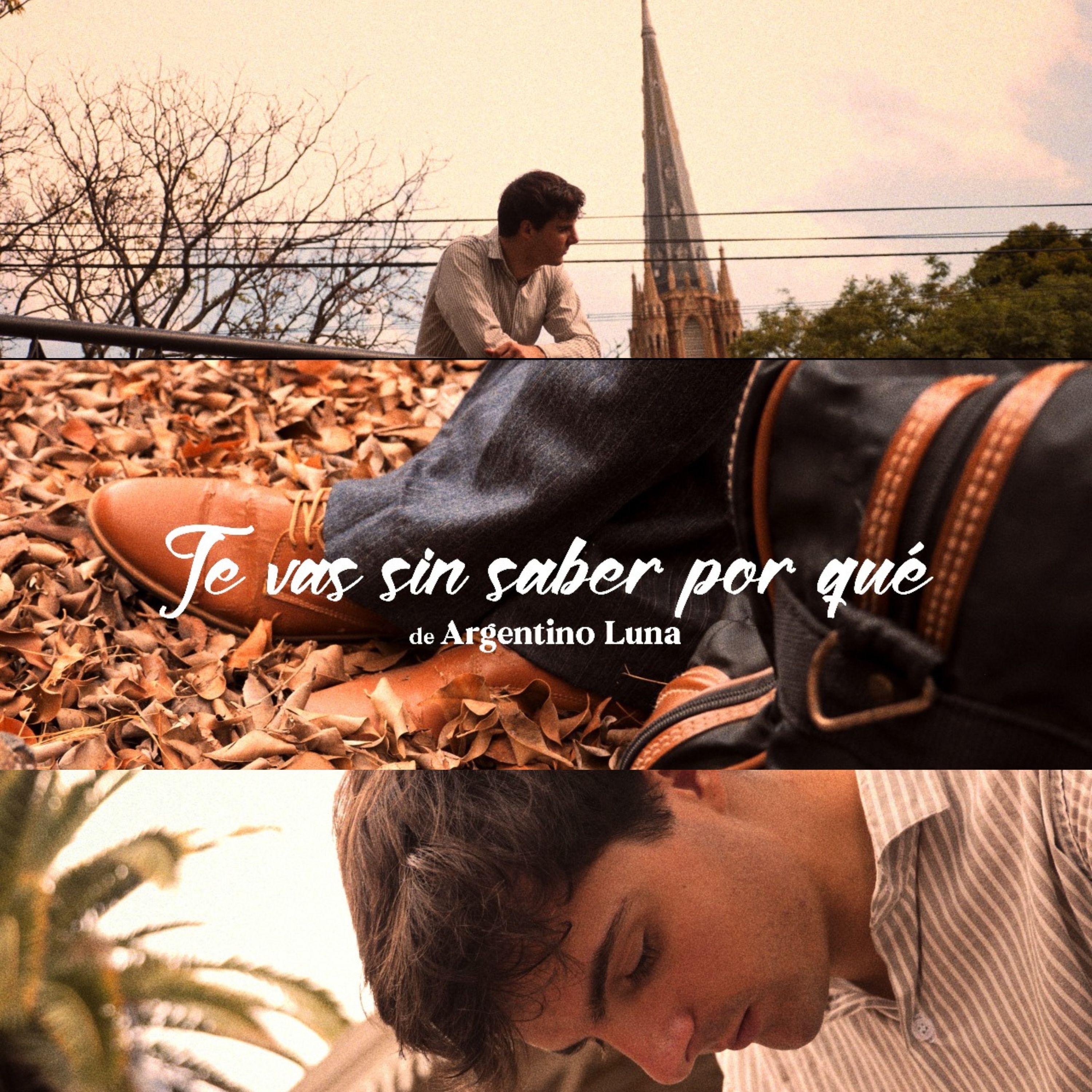 Te Vas Sin Saber Por Qué - Single
