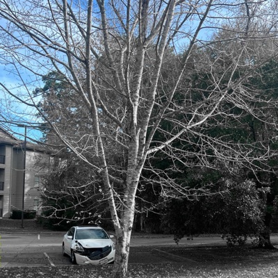 In an Instant - Single