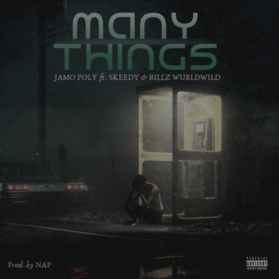 Many Things (feat. Skeedy & Billz wurdwild) - Single