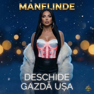 Deschide Gazdă Ușa (feat. AMANDINA) - Single