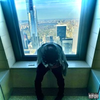 fukyoarmor (feat. yani & thrty) - Single - STONEDEF EXCLUSIVES