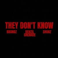 They Don't Know (feat. Brandz) - Single - Denzil Grenade & Shunz