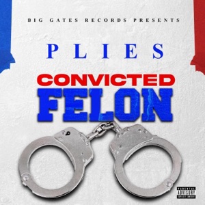 Convicted Felon - Single
