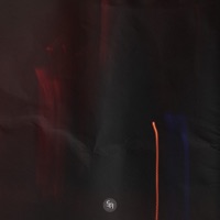 dandelion - Single - Ostel & Edoardo Gastaldi