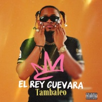 Tambaleo - Single - El Rey Guevara