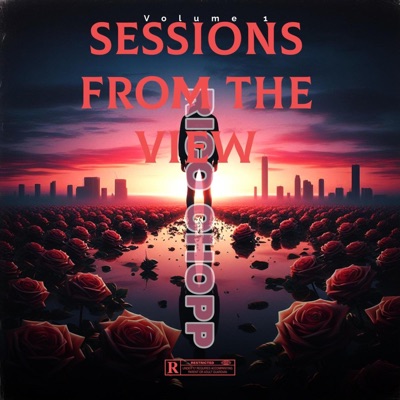 Sessions From The View