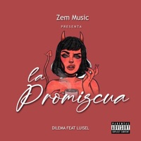 La promiscua (feat. Luisel & Dilema) - Single - ZemMusic