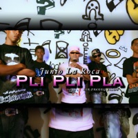 Pli Pli Pla (feat. Raidy El productor Del Futuro) - Single - Junior La Roca