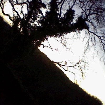 it goes wrong, i've seen this one - Single