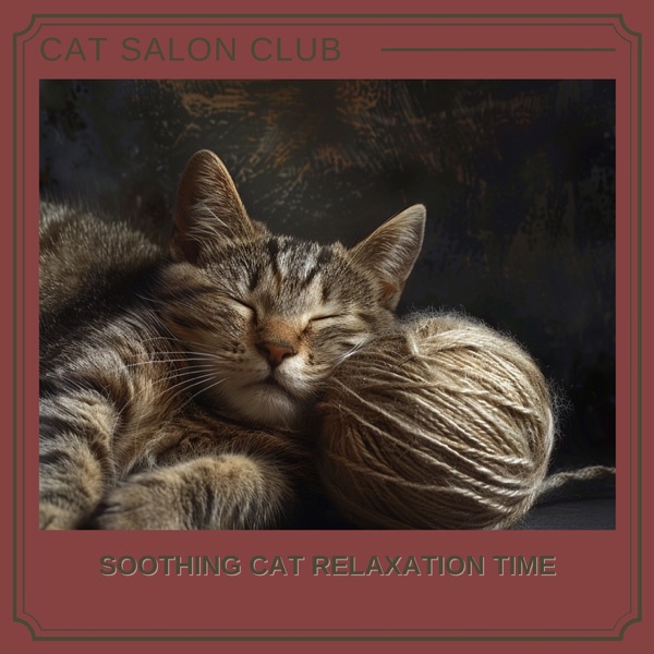Soothing Cat Relaxation Time