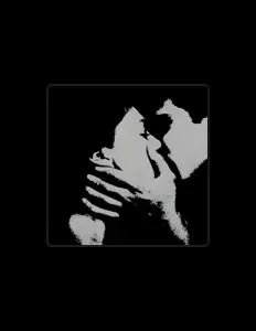 SHINTŌを聴いたり、ミュージックビデオを鑑賞したり、経歴やツアー日程などを確認したりしましょう！