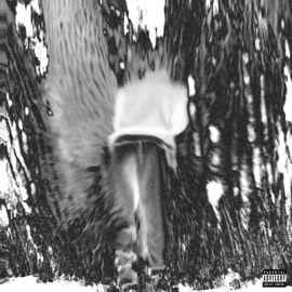 MIND (feat. selix) ELC0N