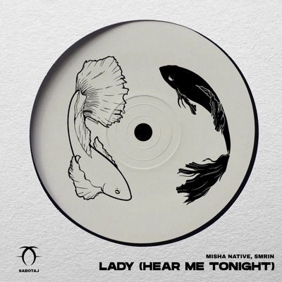 Lady (Hear Me Tonight) - Single