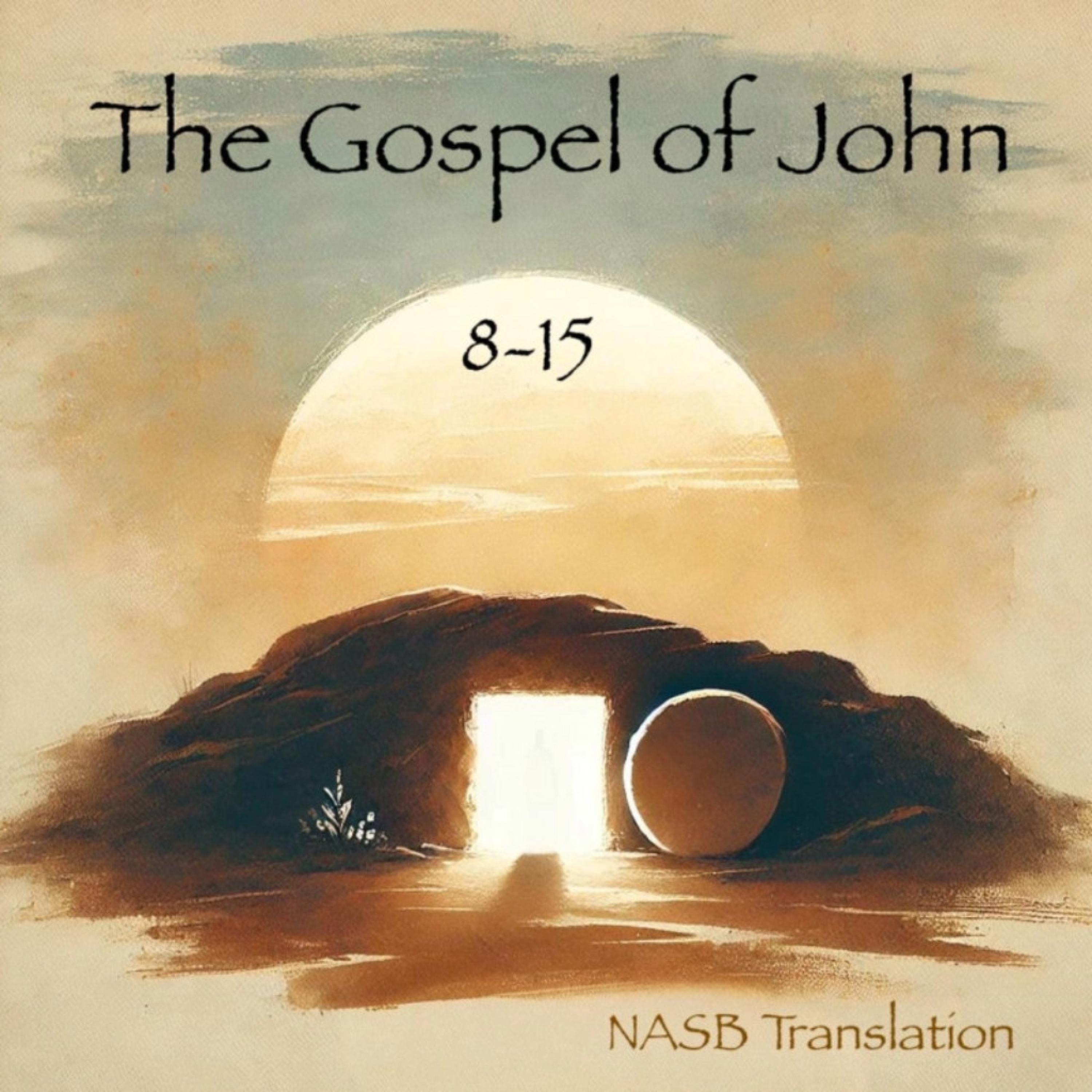 The Gospel of John 8-15