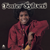 Foster Sylvers - Misdemeanor  artwork